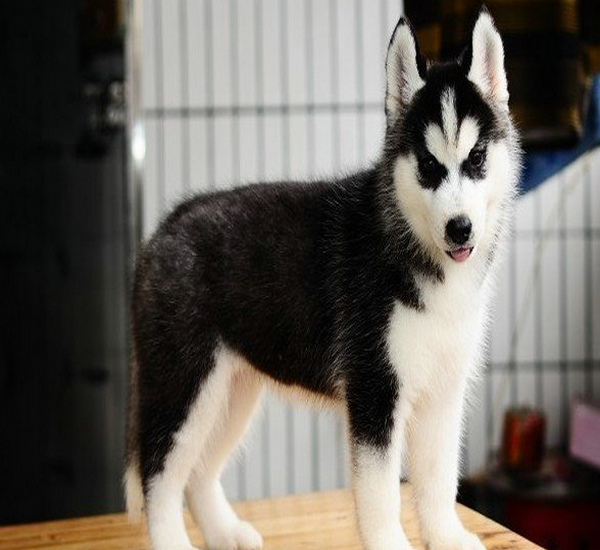 导出数据不能求和怎么办_导出数据到excel表格_ecognition数据导出