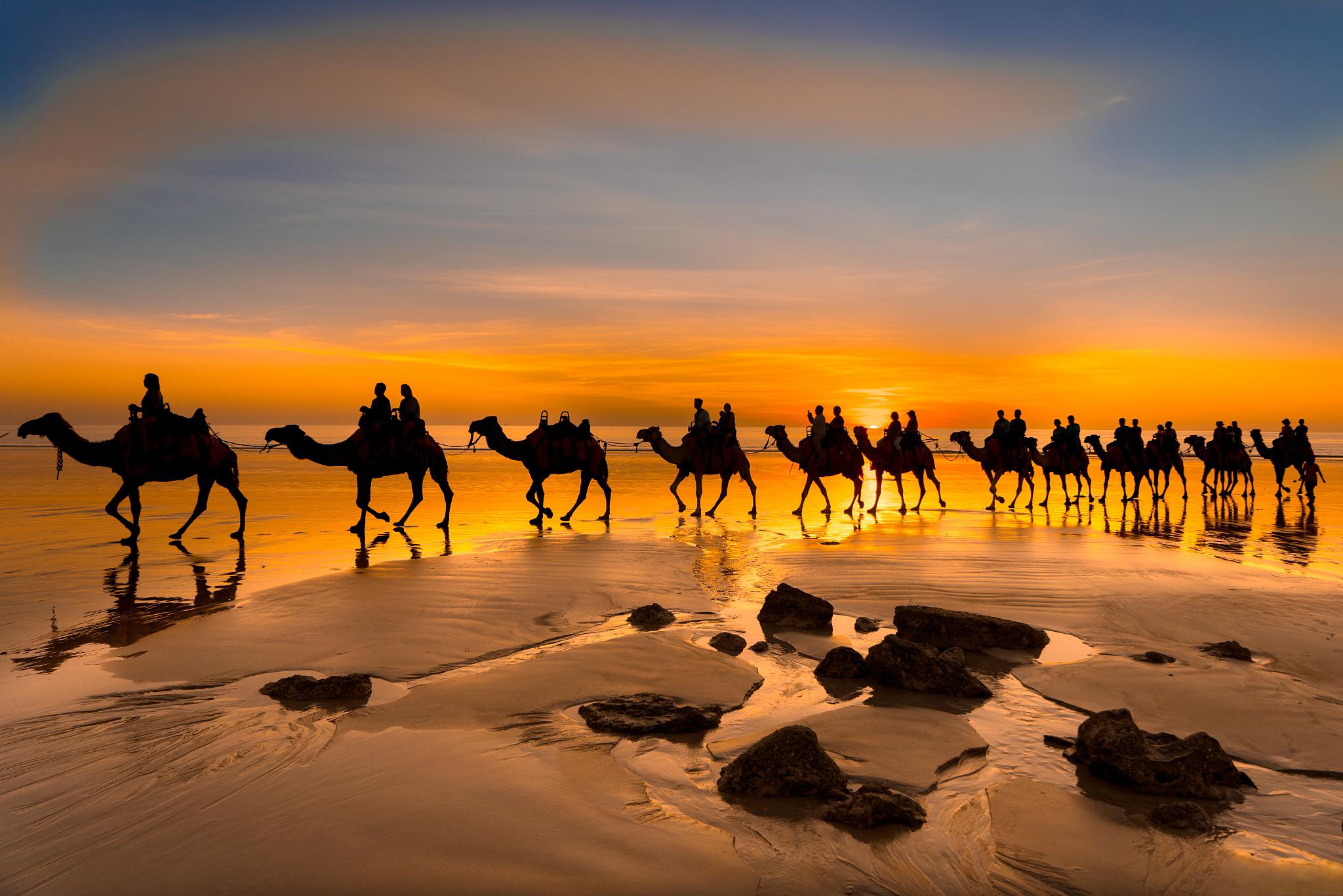 110116是哪个区_区是什么结构_区是多音字吗