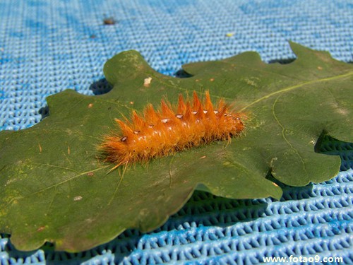 官网查询录取_官网预约试驾_sreng官网