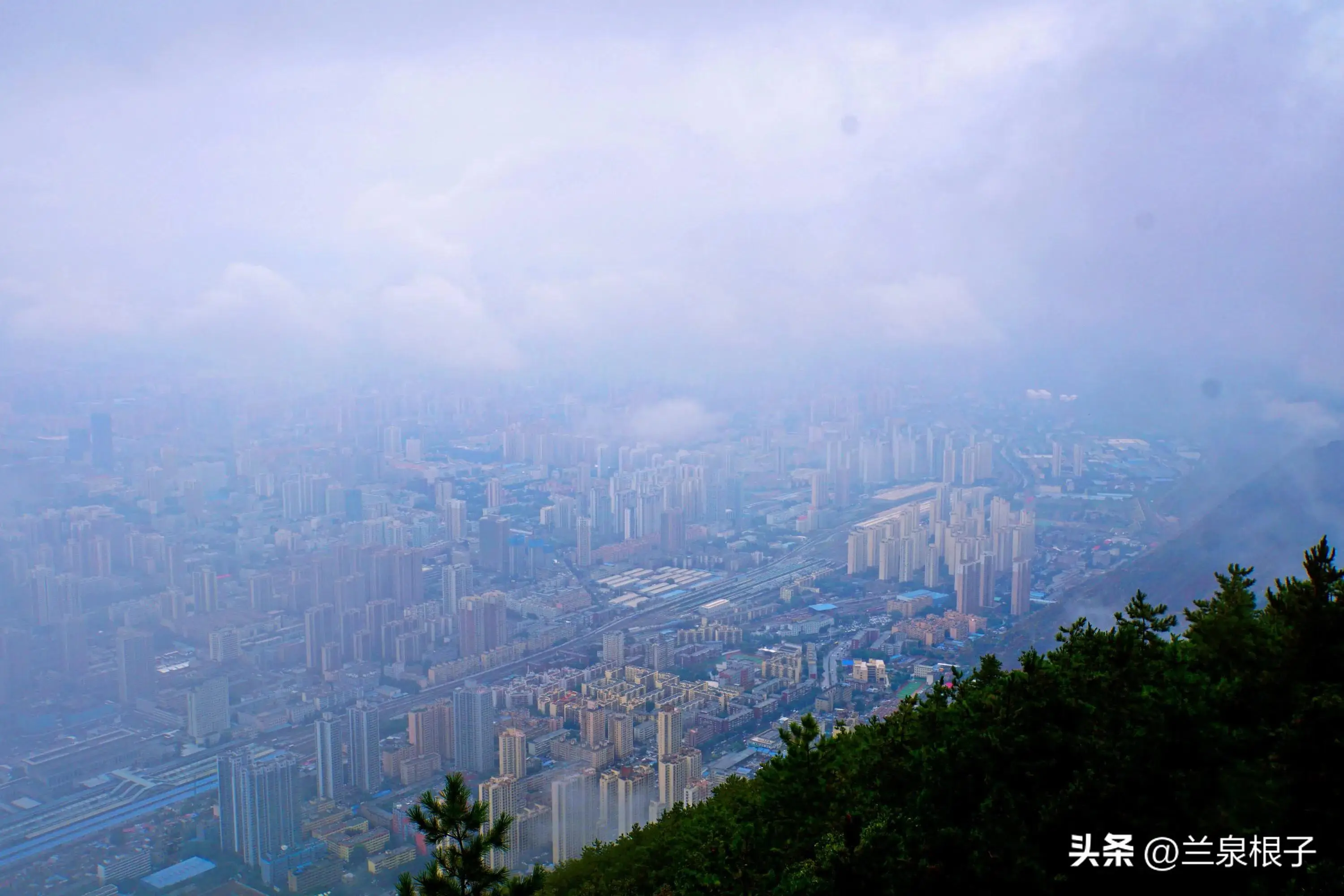 高碑店植物园_河北高碑店植物园门票_高碑店植物园多大