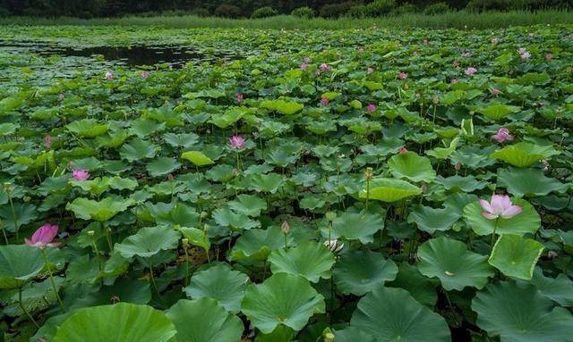 unix 操作系统-我与 UNIX 的奇妙缘分：从困惑到欣赏，它是我的最佳伙伴