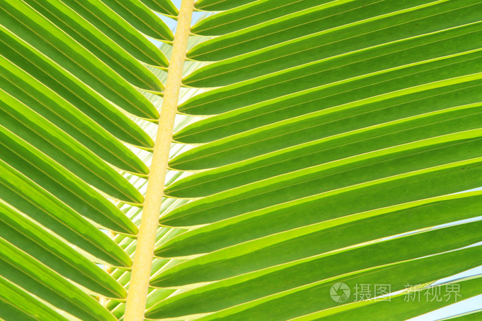 分销王drp-分销王 DRP：小生意人的赚钱神器，操作简单，功能强大