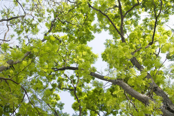 分销王管理系统_分销王drp_分销王公司电话