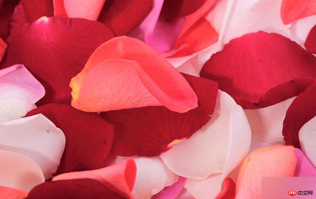 php实现二分法查找_php二分法查找_二分查找算法php