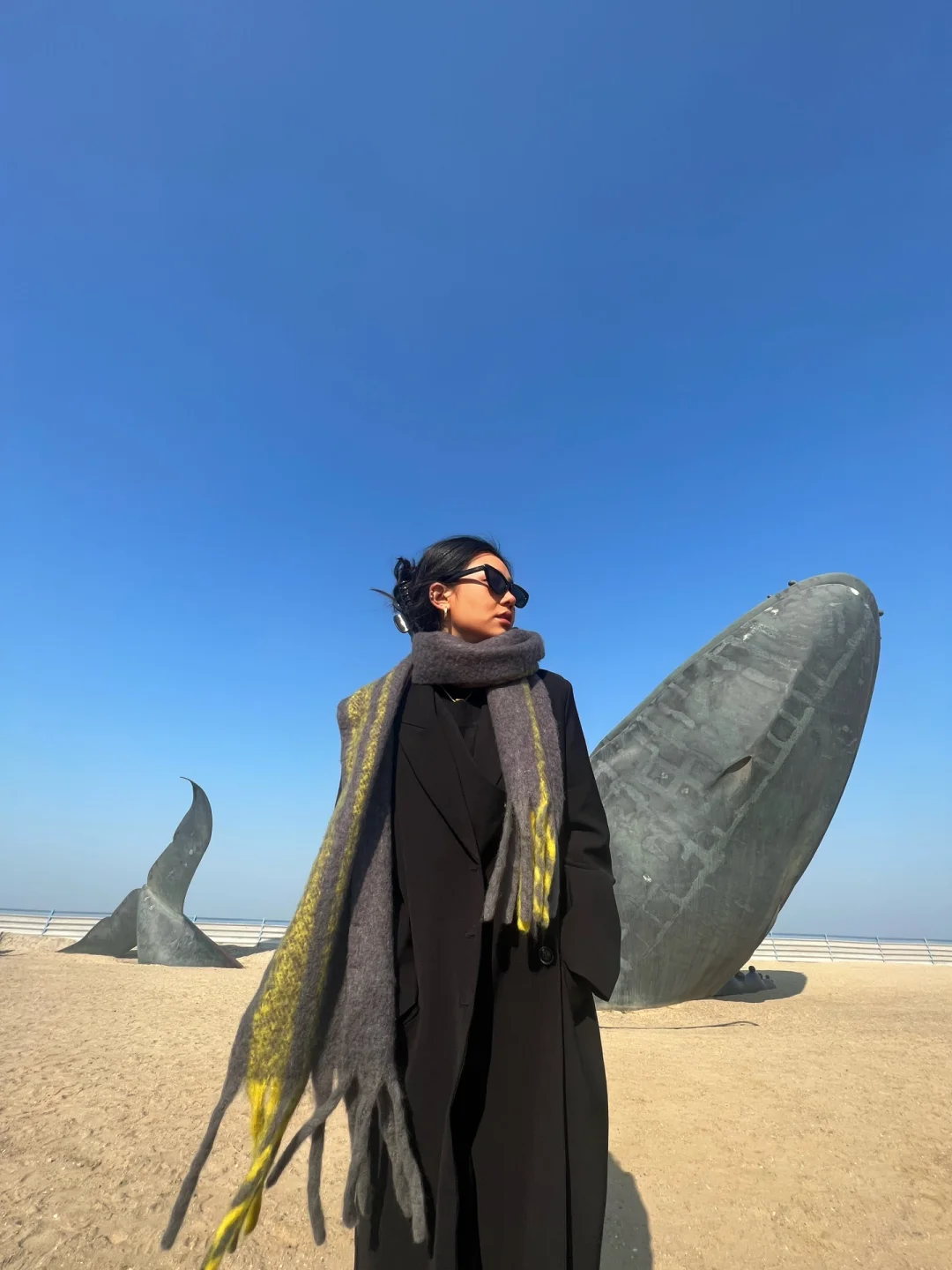 客厅能放仙人球金虎吗_客厅放金虎仙人球好吗_金虎仙人球能放客厅吗