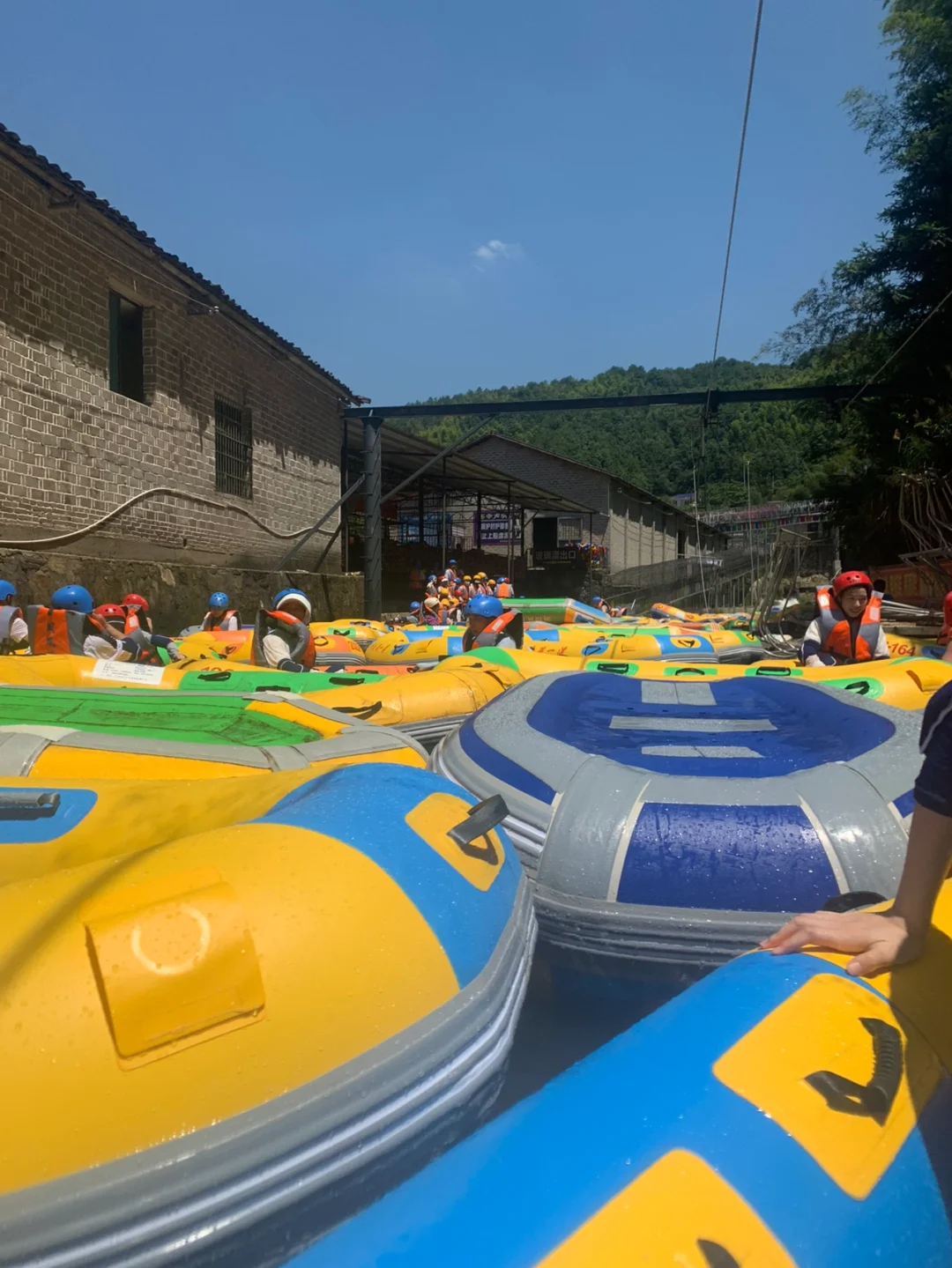 金虎仙人球能放客厅吗_客厅能放仙人球金虎吗_客厅放金虎仙人球好吗