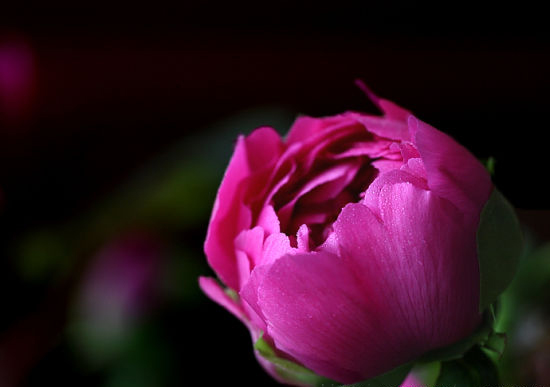 河南省洛阳市身份证_河南洛阳身份证号码_河南洛阳身份证号