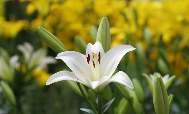 异地可以查询户口本吗_异地可以查询户口信息_可以在异地网上查户口本么