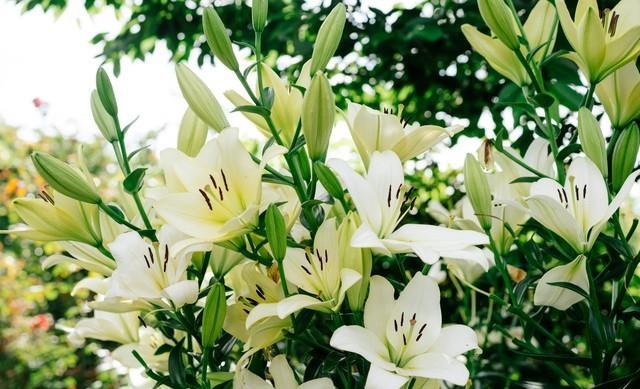 可以在异地网上查户口本么_异地可以查询户口信息_异地可以查询户口本吗