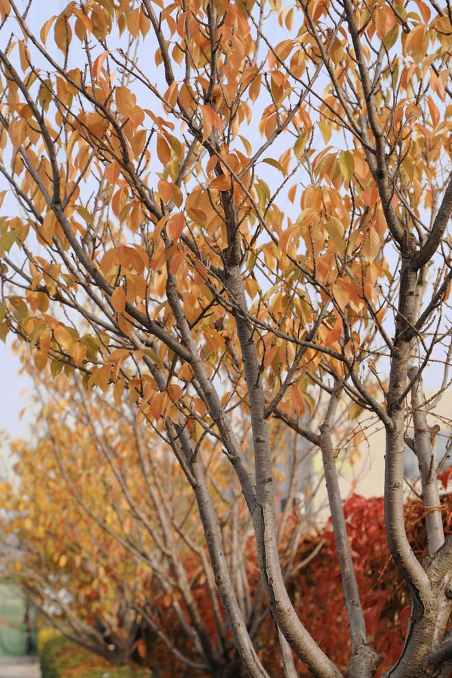 启优通怎么装系统_优启通it_优启通吧