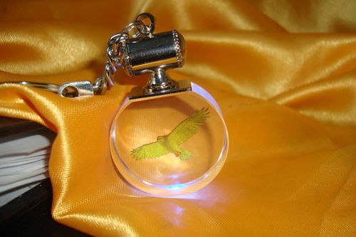 all in one key_all in one key_all in one key