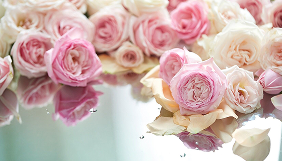 opensuse 42.2壁纸_壁纸图片_壁纸图片2023最火爆