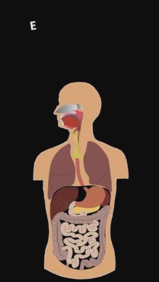 支气管肺炎小儿治疗_小儿支气管炎肺炎用药_儿童支气管肺炎如何治疗