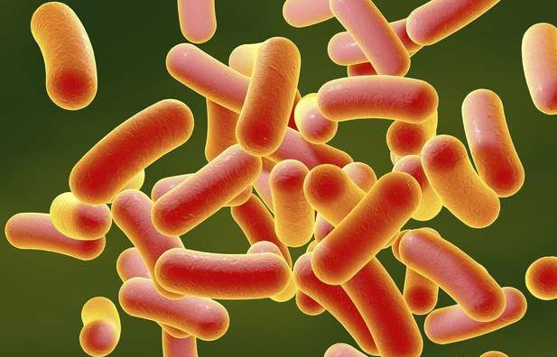 肺结核死人会传染吗_肺结核三型会死人吗_有肺结核的人死后会有传染性吗