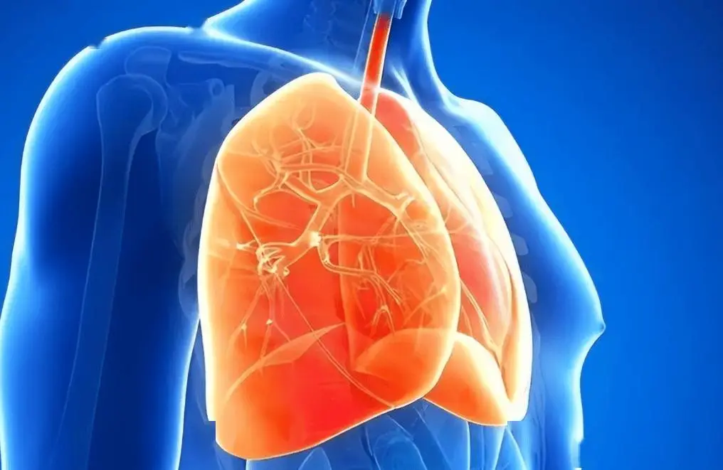 中枢性呼吸衰竭概念_中枢呼吸定义衰竭性呼吸困难_中枢性呼吸衰竭定义