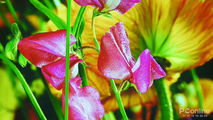 下载微信_rthdcplexe下载_下载快手