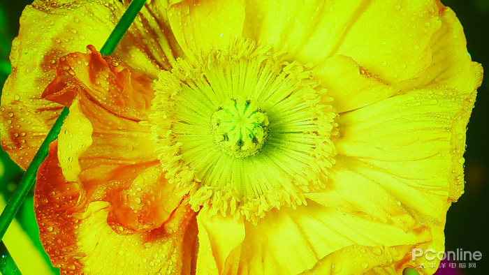 rthdcplexe下载_下载快手_下载微信