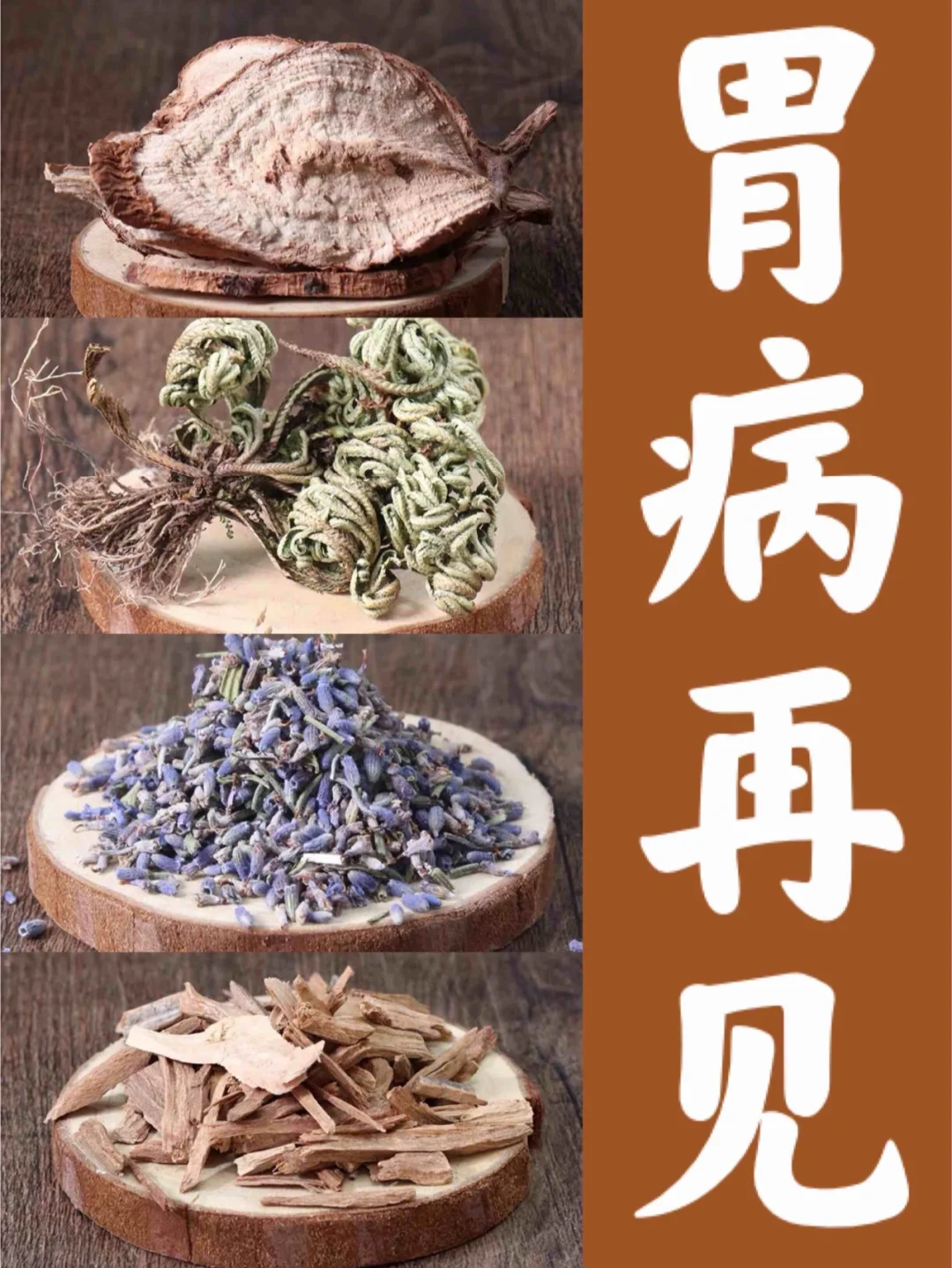 健康顾问李老师口臭_健康顾问李老师胃病_健康顾问小李