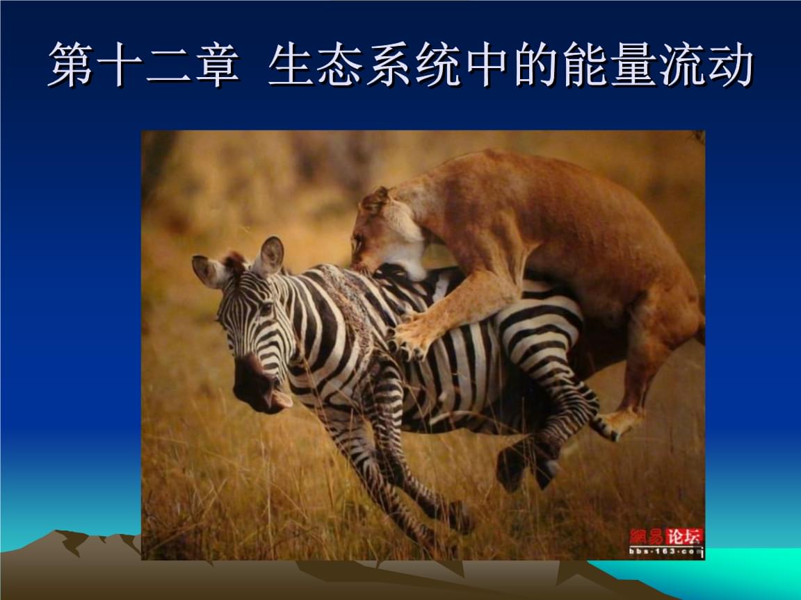 生态系统ecosystem怎么读?_生态系统怎么读英语怎么说_趣谈生态系统