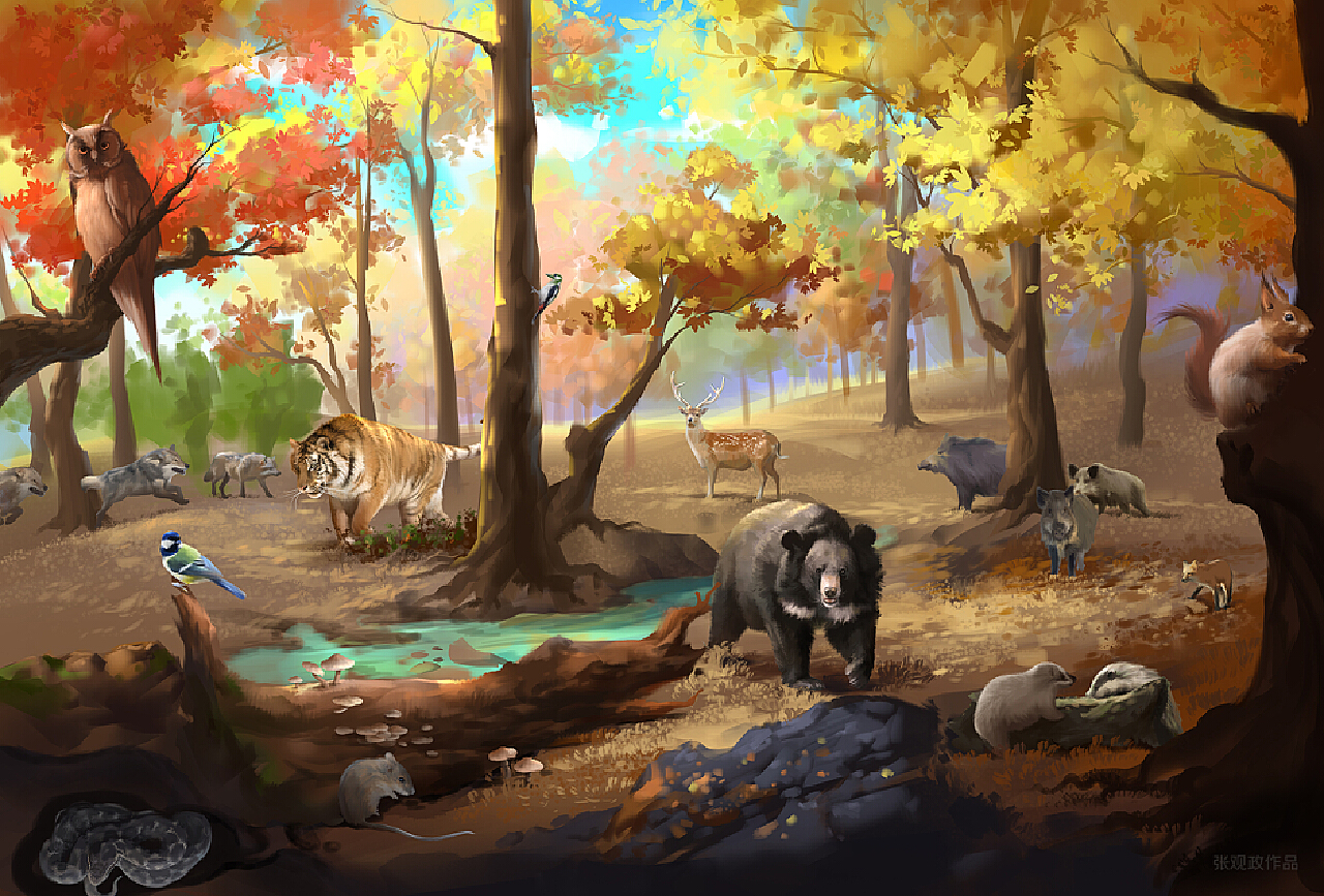 趣谈生态系统_生态系统ecosystem怎么读?_生态系统怎么读英语怎么说