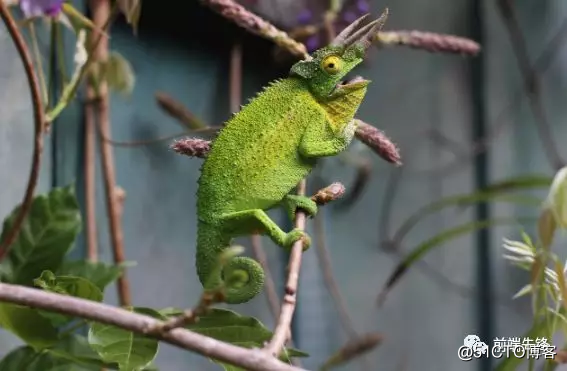 php冒泡排序算法代码_排序算法冒泡排序_php冒泡排序算法