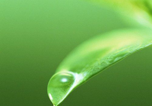 护理病人冠心病查房总结_护理病人冠心病查房ppt_冠心病病人护理查房