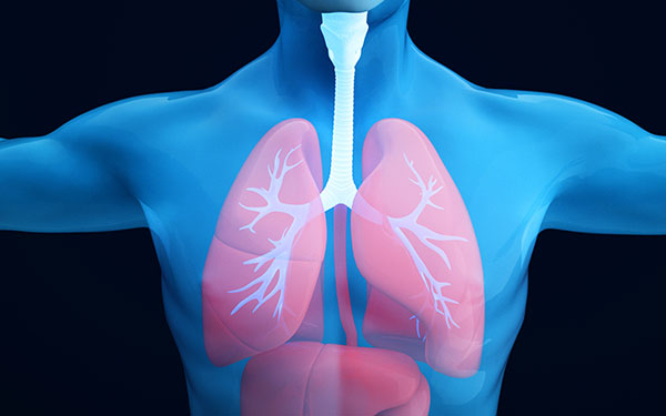 治愈的肺结核会变成肺癌吗_严重肺结核能治愈吗_治愈好的肺结核病人还会传染吗