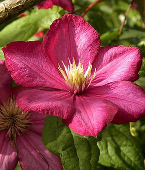 定义域怎么求_ios 自定义tabbar_定义域