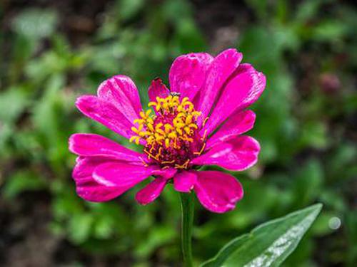 定义域_定义域怎么求_ios 自定义tabbar