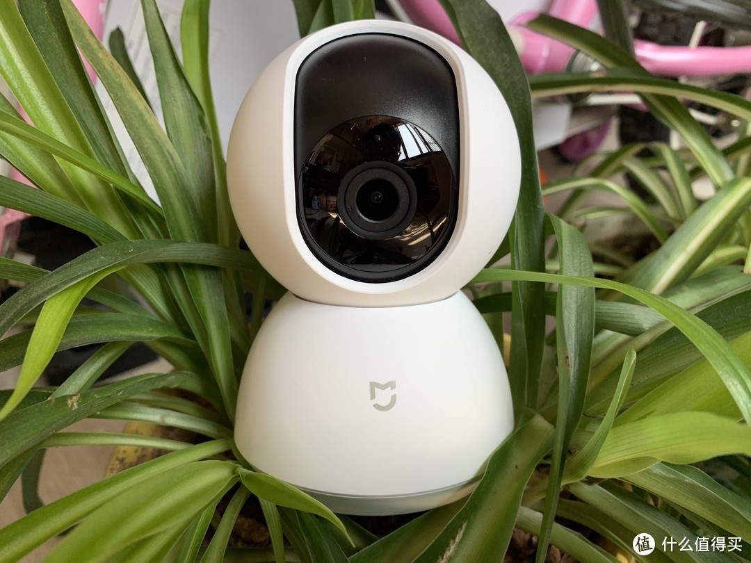 圆形摄像头监控范围_圆形的摄像头_圆的监控摄像头拍违章吗