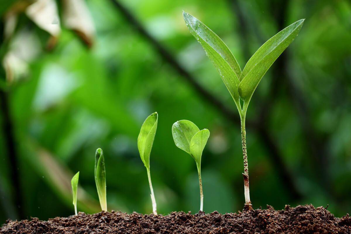 男主哮喘发作了-爱人哮喘发作，我在恐惧中感受生命的脆弱