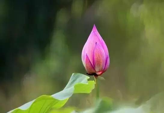 男主哮喘病发作的视频_男主哮喘发作了_男主哮喘发作文