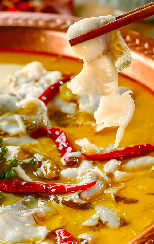 走进杭州浙港智能科技有限公司，感受未来科技的魅力