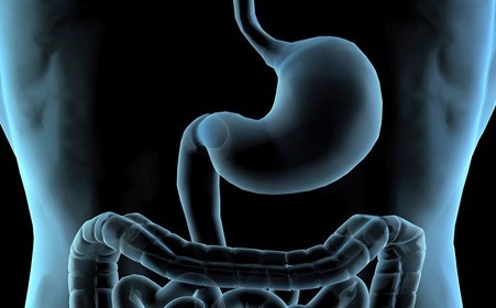 老胃病 论坛_老胃病吧百度贴吧_老胃病治愈经验吧