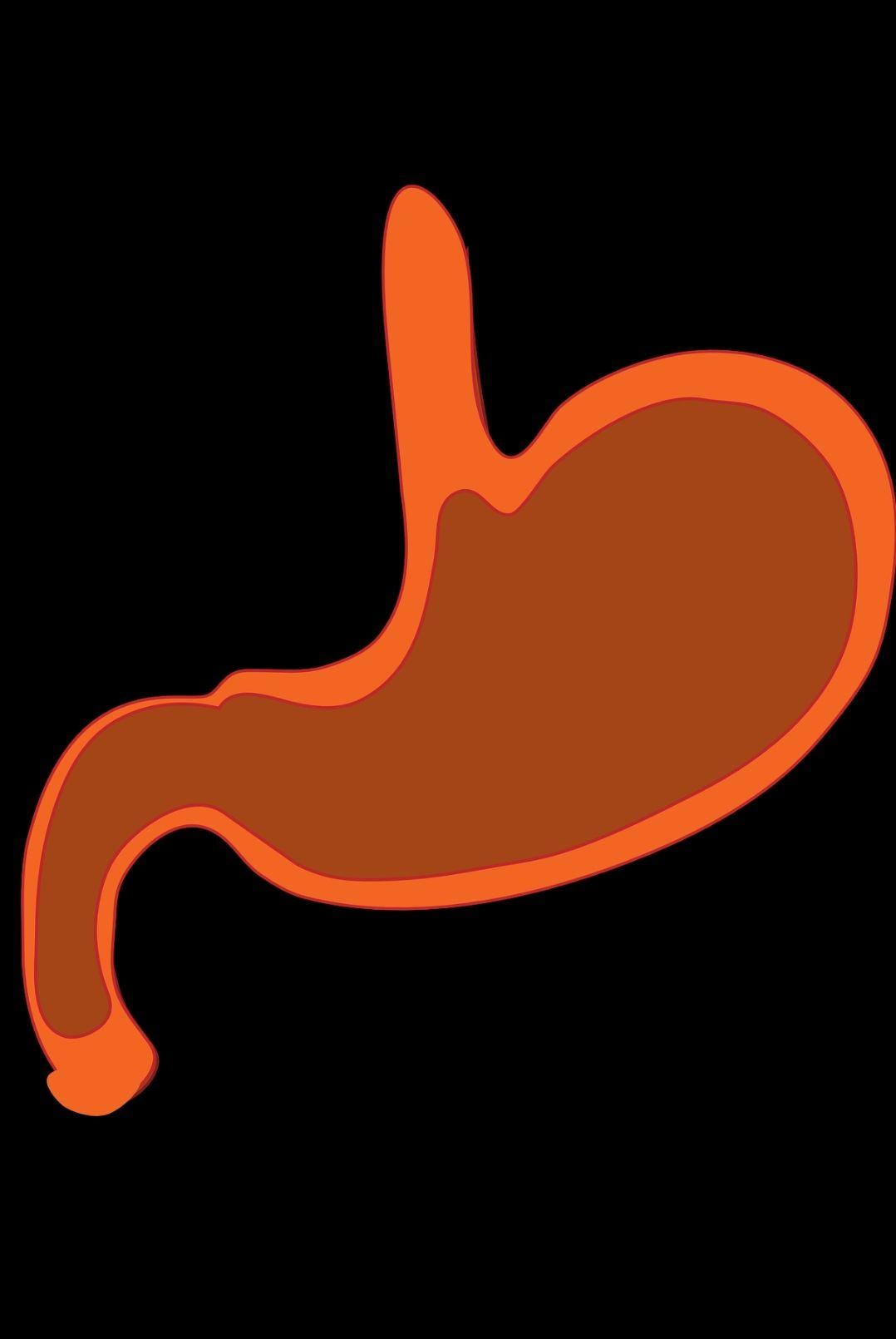 老胃病治愈经验吧_老胃病 论坛_老胃病吧百度贴吧