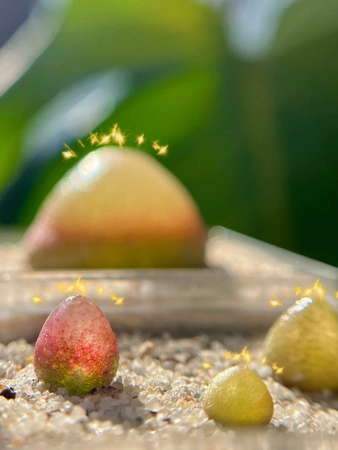 数组初始化为0_数组初始化为-1_数组初始化为true