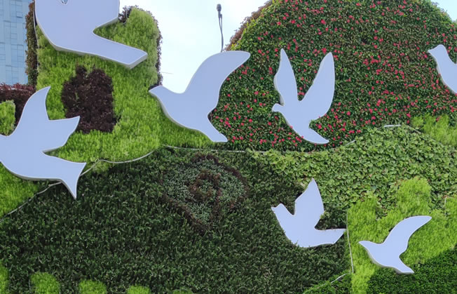 数组初始化为-1_数组初始化为0_数组初始化为true