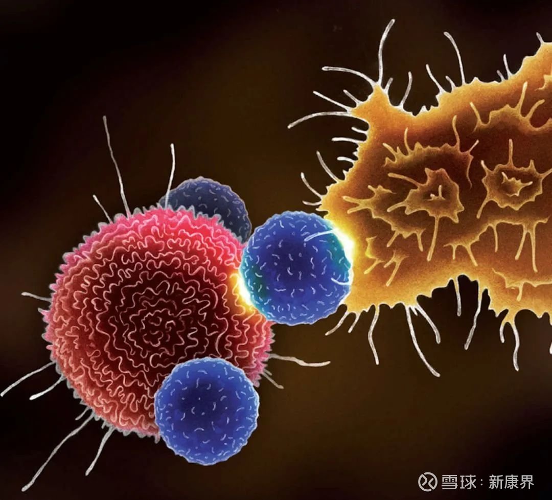 恒瑞pd1是仿制药还是原研药_恒瑞 pd 1 授权_恒瑞pd1产品