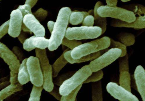 肛裂肛瘘手术治疗需要多长时间_肛裂肛瘘手术几天出院_肛瘘肛裂术后多久能治愈