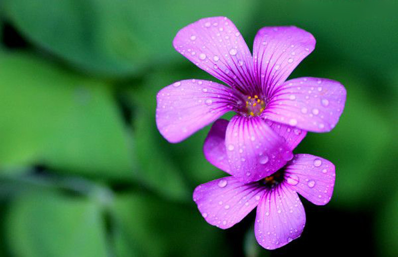 开机东西电脑开点后黑屏_电脑开机后点不开东西_开机东西电脑开点后就黑屏