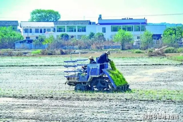 病毒清的功效与作用_病毒清零什么意思_犇牛病毒怎么清楚