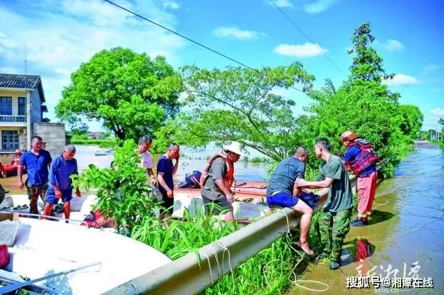 病毒清的功效与作用_病毒清零什么意思_犇牛病毒怎么清楚