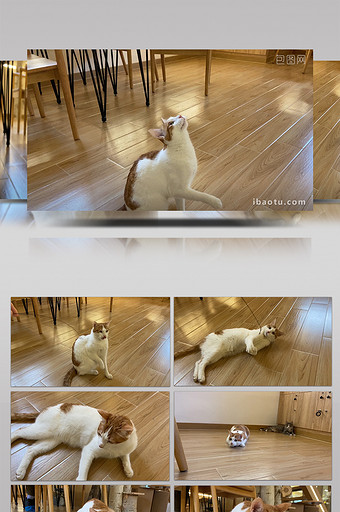 excel历史记录恢复_excel恢复历史数据_恢复记录历史