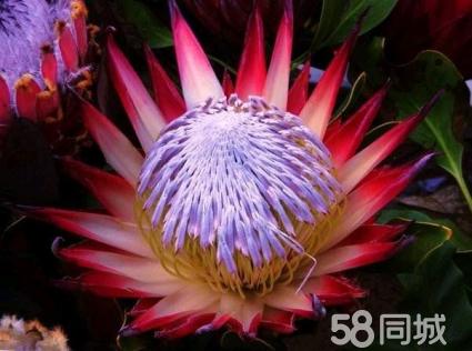 南宁仓库出租信息_58同城南宁大沙田仓库_南宁仓库出租网赶集网