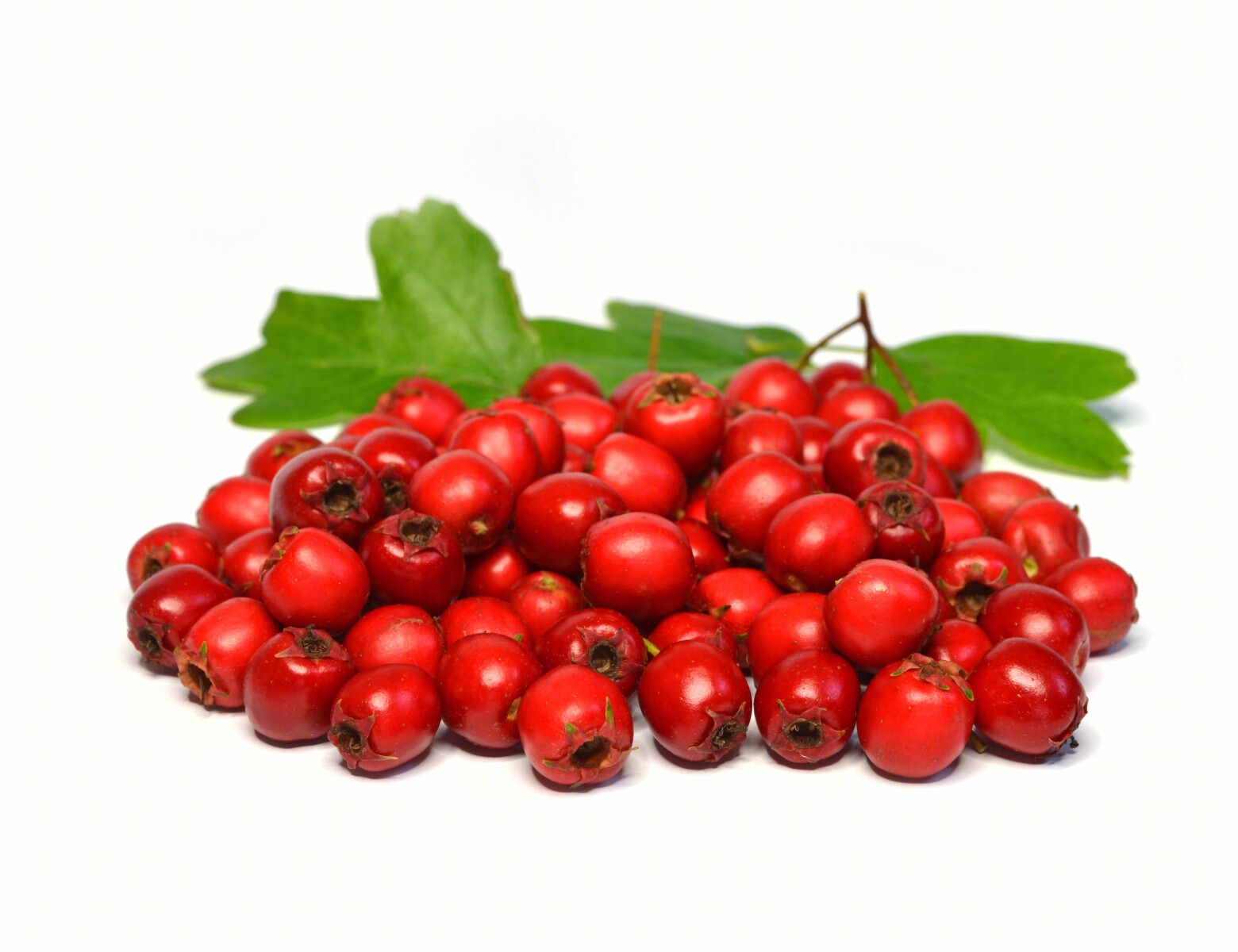 西安胃病医院好看的医生_西安看胃病好的医院_西安胃病医院好看的有哪些