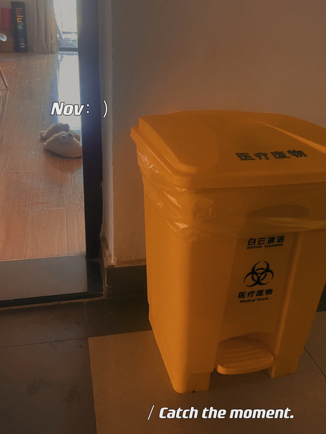 文件型病毒传染的主要对象是扩展名_文件病毒传染对象主要是_文件型病毒通常感染扩展名为