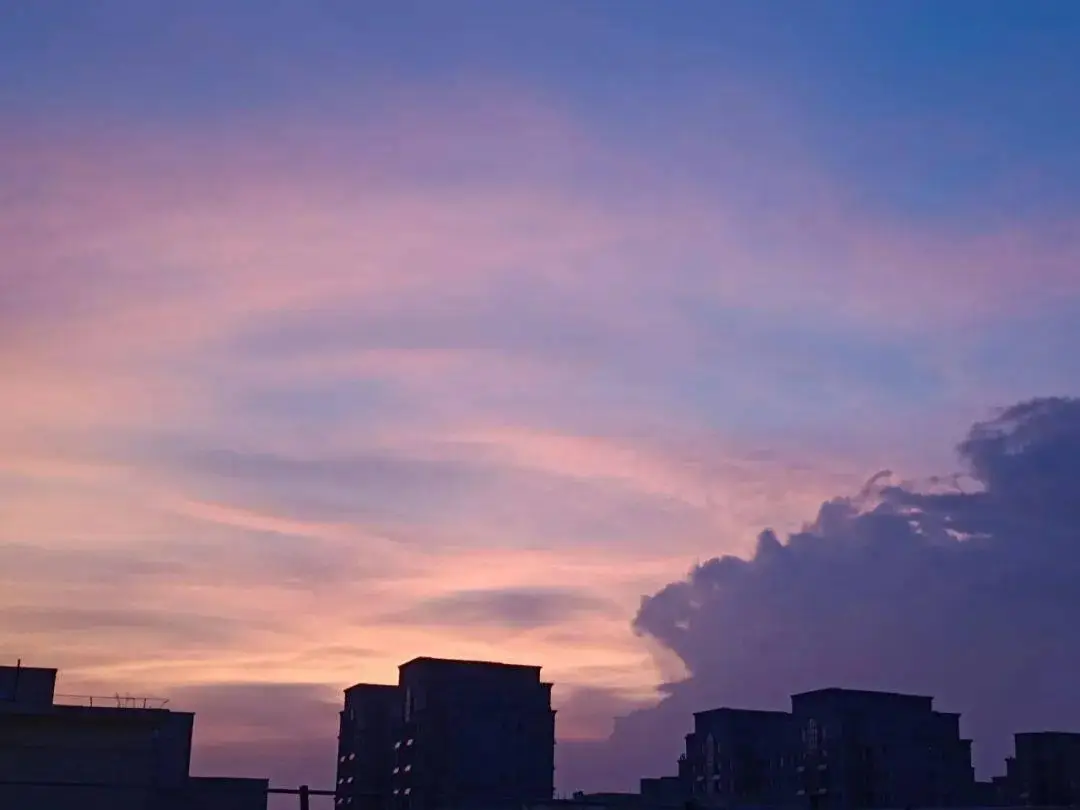 心的悸动_悸动五谷_“五谷”