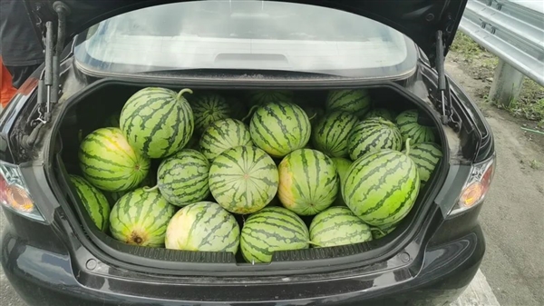 斯巴特油流指示器_yzq油流指示器_油流指示器接线图说明