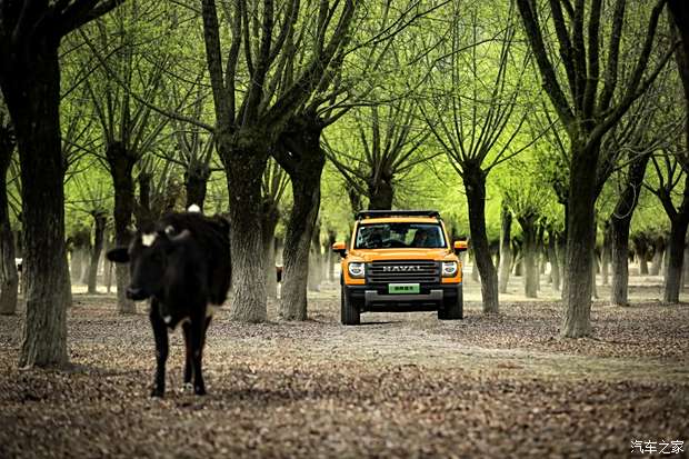 油流指示器接线图说明_yzq油流指示器_斯巴特油流指示器