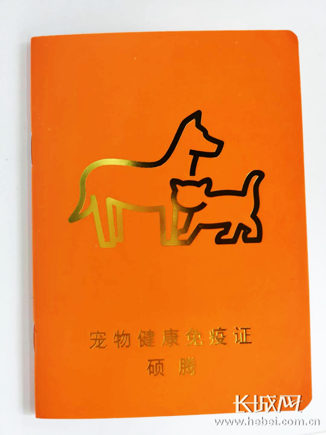 查询身份证号码的真实姓名字-查询身份证号码背后的真实姓名，你真的知道其中的风险吗？